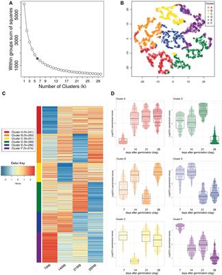 Transcriptional Basis for Haustorium Formation and Host Establishment in Hemiparasitic Psittacanthus schiedeanus Mistletoes